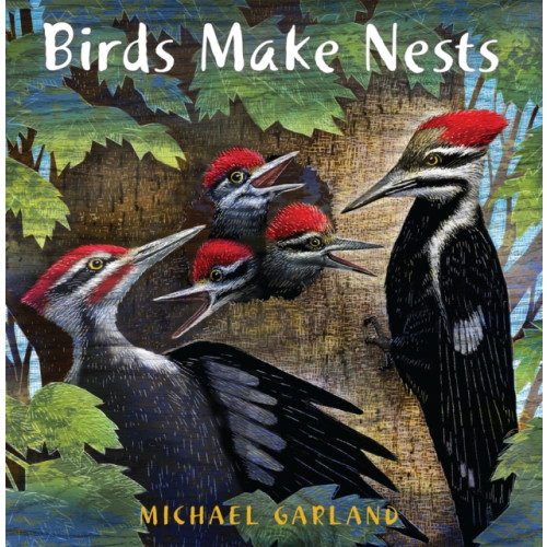 Holiday House Inc Birds Make Nests (häftad, eng)