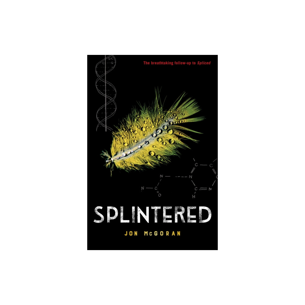 Produktbild för Splintered (häftad, eng)