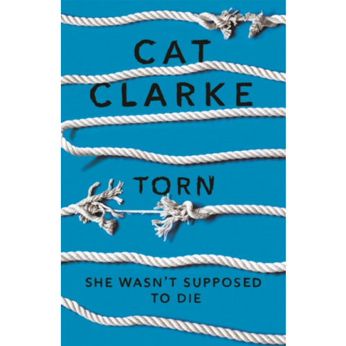 Hachette Children's Group Torn (häftad, eng)