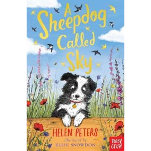 Nosy Crow Ltd A Sheepdog Called Sky (häftad, eng)