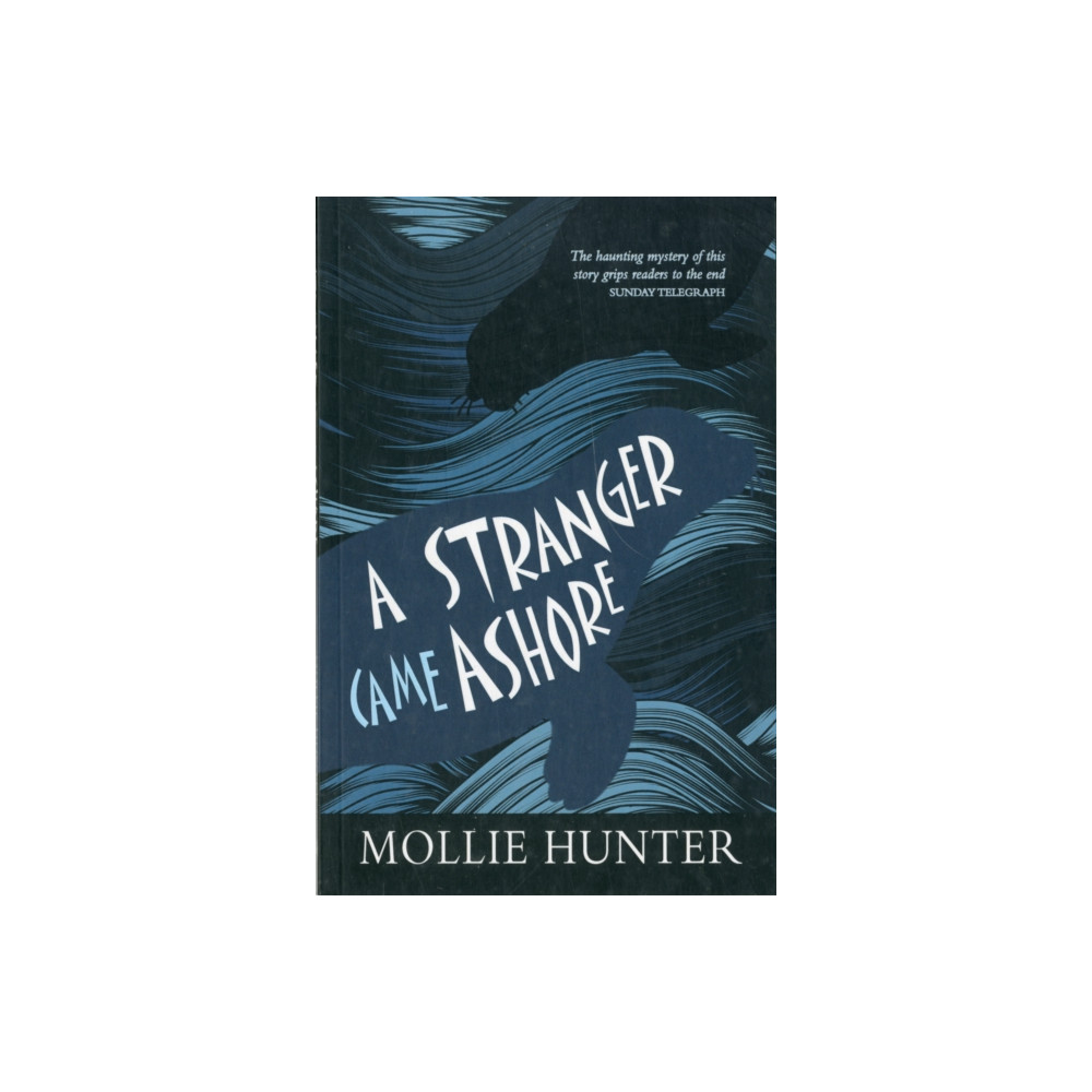 Produktbild för A Stranger Came Ashore (häftad, eng)