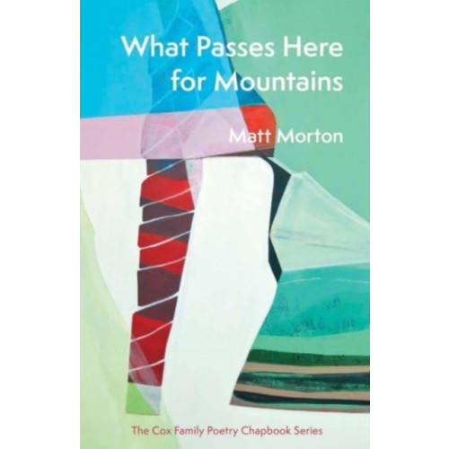 Carnegie-Mellon University Press What Passes Here for Mountains (häftad, eng)