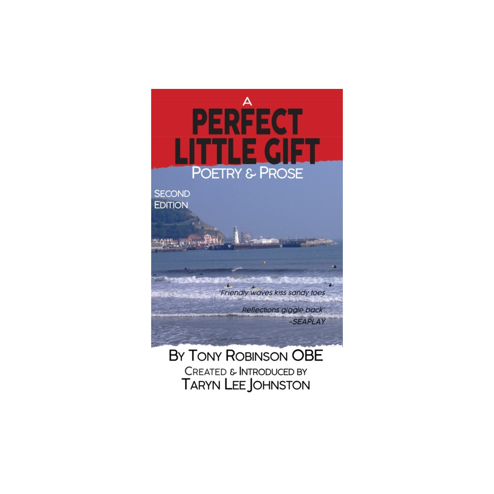 Produktbild för A Perfect Little Gift (häftad, eng)
