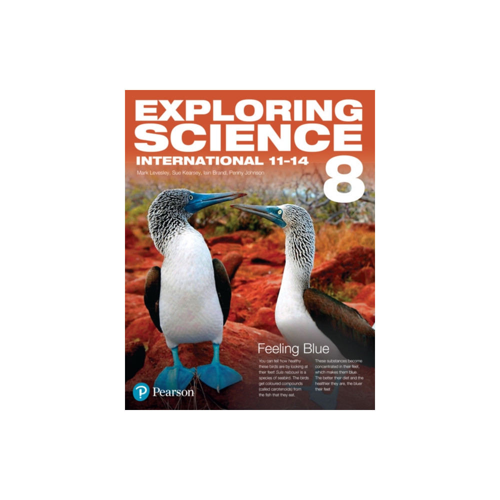 Produktbild för Exploring Science International Year 8 Student Book (häftad, eng)
