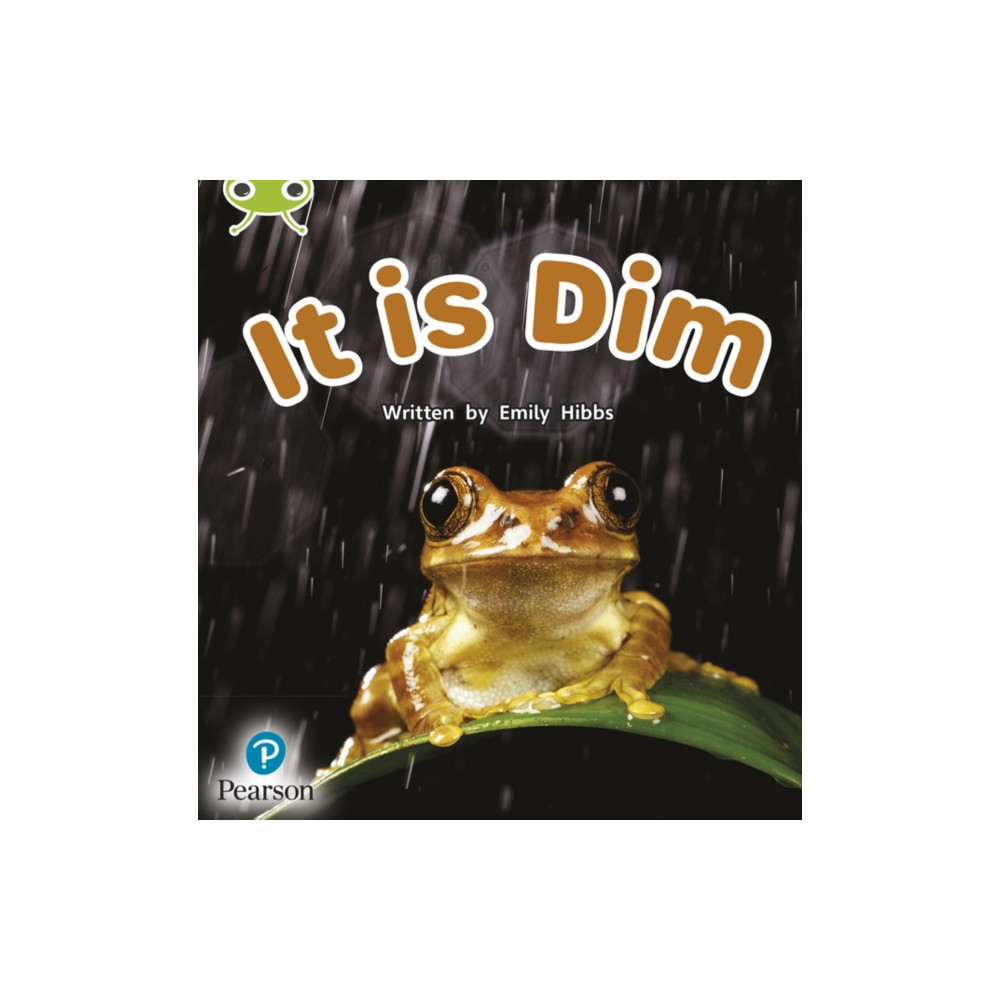 Produktbild för Bug Club Phonics - Phase 2 Unit 1-2: It is Dim (häftad, eng)