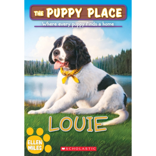 Scholastic Inc. Louie (The Puppy Place #51) (häftad, eng)