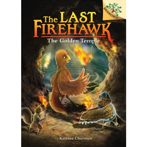 Scholastic Inc. The Secret Maze: A Branches Book (The Last Firehawk #10) (inbunden, eng)