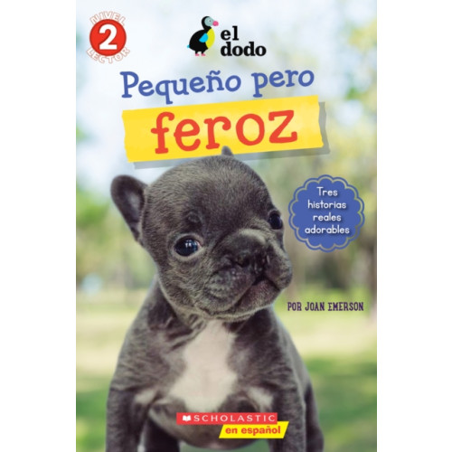 Scholastic Inc. El Dodo: Pequeno y valiente (The Dodo: Little But Fierce) (häftad, spa)