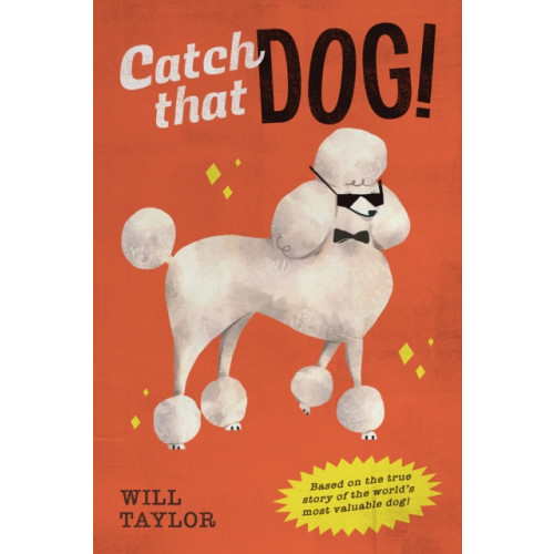 Scholastic Inc. Catch that Dog! (inbunden, eng)