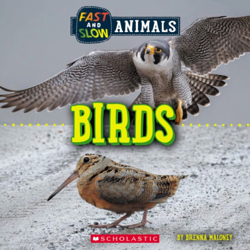 Scholastic Inc. Birds (Wild World: Fast and Slow Animals) (häftad, eng)