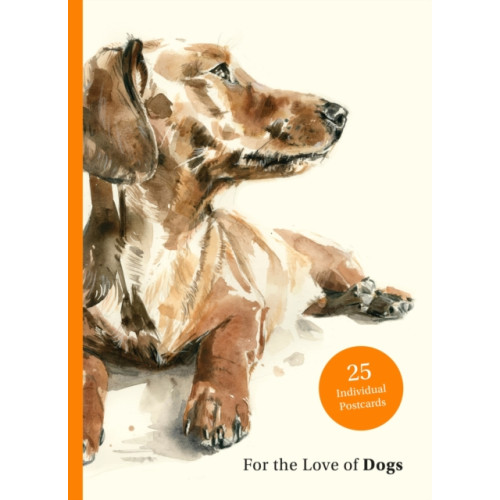 Orion Publishing Co For the Love of Dogs: 25 Postcards (häftad, eng)