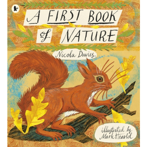 Walker Books Ltd A First Book of Nature (häftad, eng)