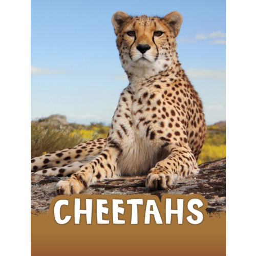 Capstone Global Library Ltd Cheetahs (häftad, eng)