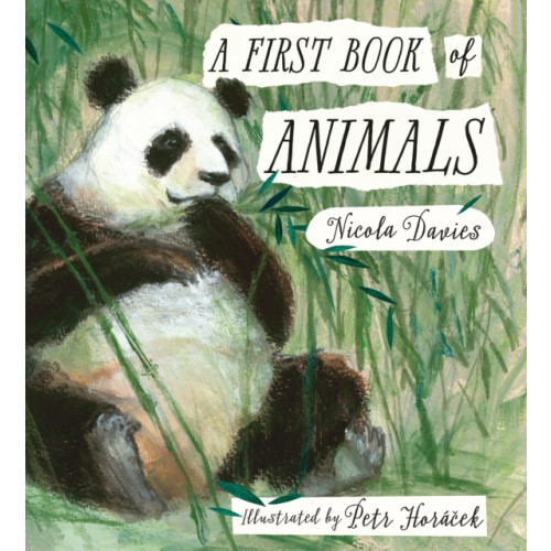 Walker Books Ltd A First Book of Animals (inbunden, eng)