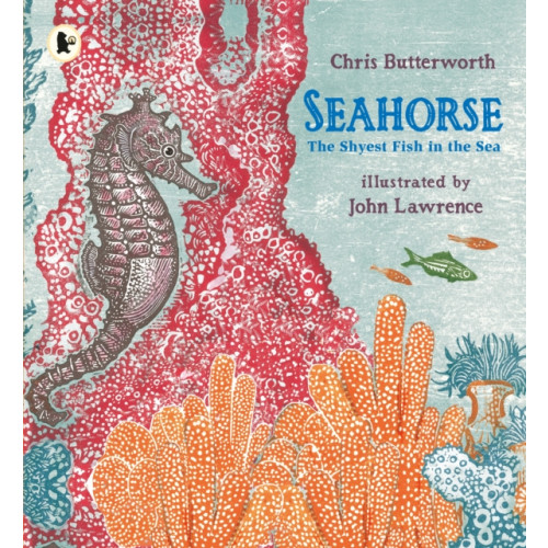 Walker Books Ltd Seahorse: The Shyest Fish in the Sea (häftad, eng)