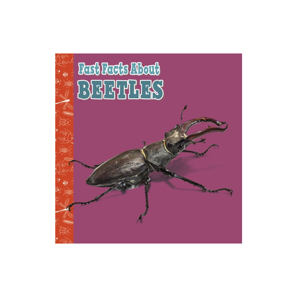 Produktbild för Fast Facts About Beetles (häftad, eng)