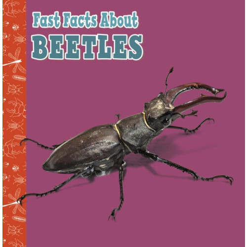 Capstone Global Library Ltd Fast Facts About Beetles (häftad, eng)