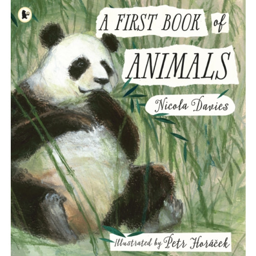 Walker Books Ltd A First Book of Animals (häftad, eng)