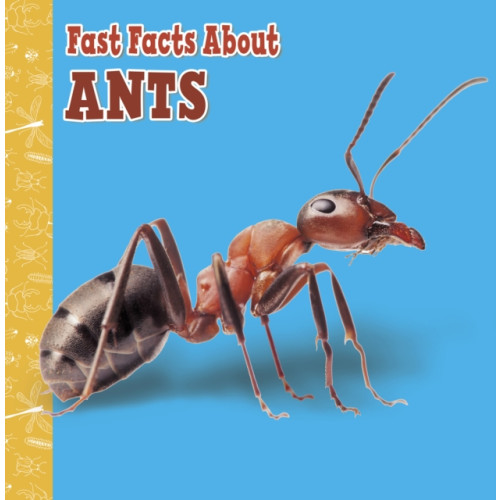 Capstone Global Library Ltd Fast Facts About Ants (häftad, eng)