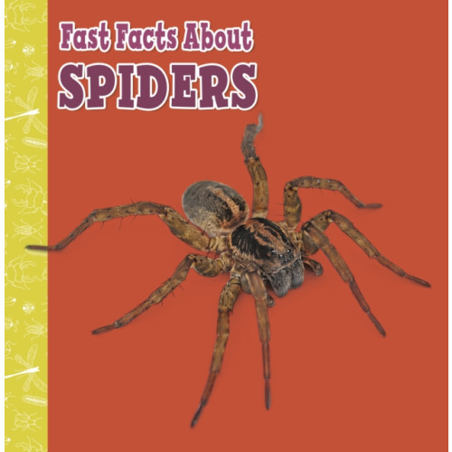 Capstone Global Library Ltd Fast Facts About Spiders (häftad, eng)