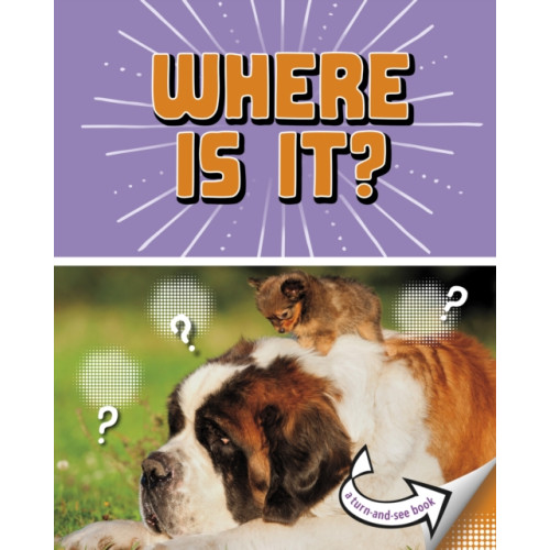 Capstone Global Library Ltd Where Is It? (häftad, eng)