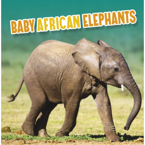 Capstone Global Library Ltd Baby African Elephants (inbunden, eng)