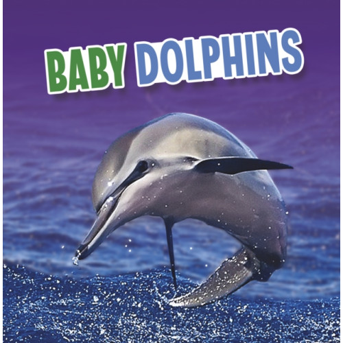 Capstone Global Library Ltd Baby Dolphins (häftad, eng)