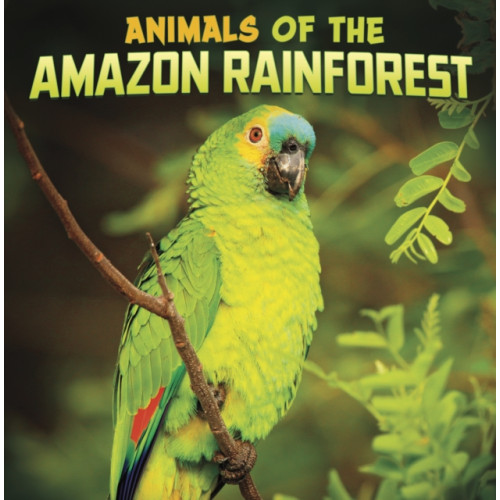 Capstone Global Library Ltd Animals of the Amazon Rainforest (häftad, eng)