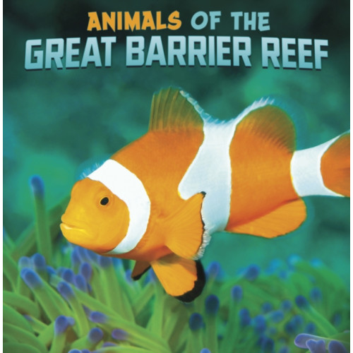 Capstone Global Library Ltd Animals of the Great Barrier Reef (häftad, eng)