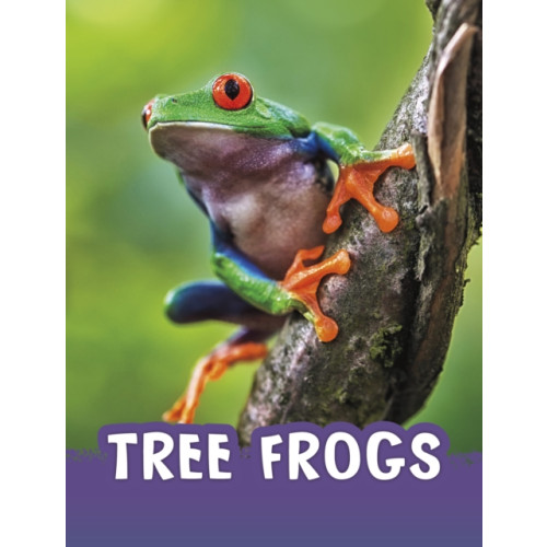 Capstone Global Library Ltd Tree Frogs (häftad, eng)