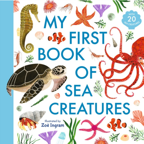 Walker Books Ltd My First Book of Sea Creatures (inbunden, eng)