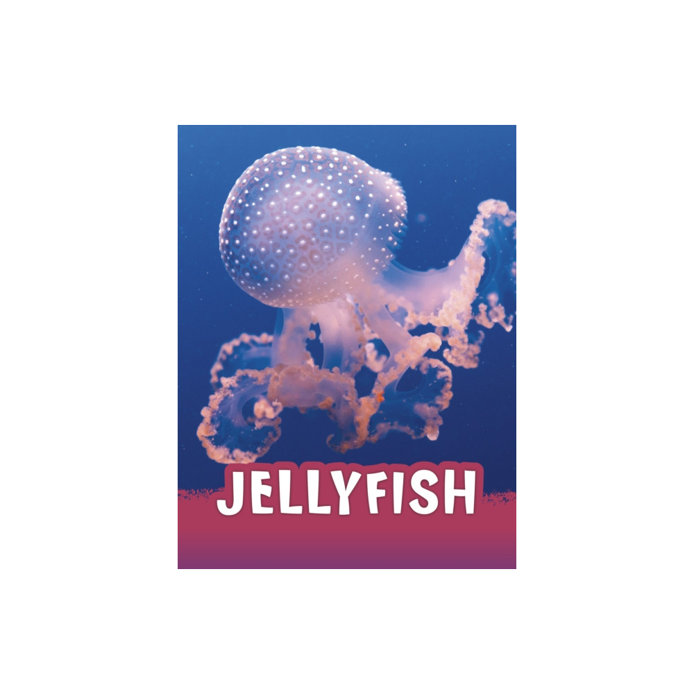 Produktbild för Jellyfish (häftad, eng)