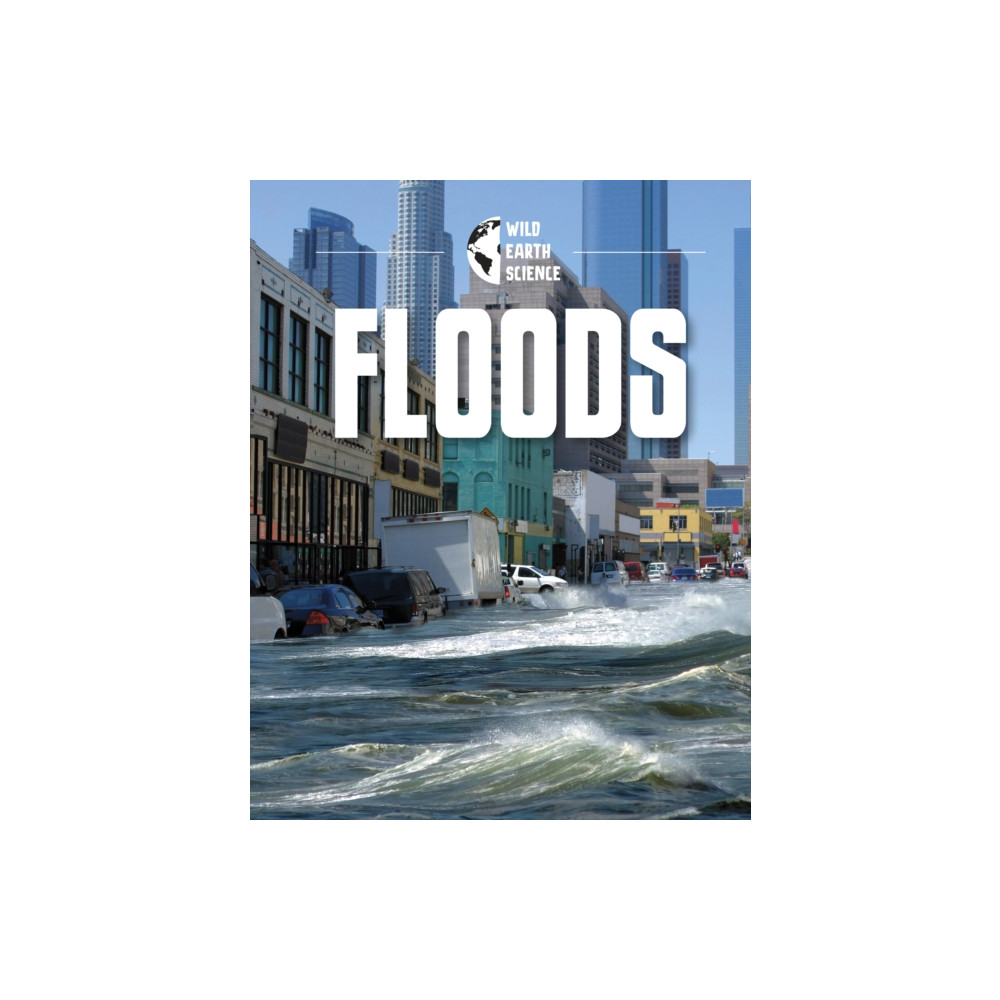 Produktbild för Floods (häftad, eng)