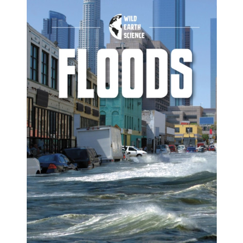 Capstone Global Library Ltd Floods (häftad, eng)