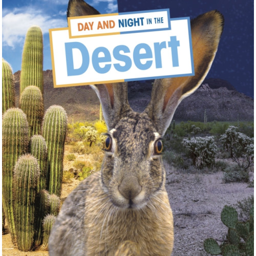 Capstone Global Library Ltd Day and Night in the Desert (inbunden, eng)