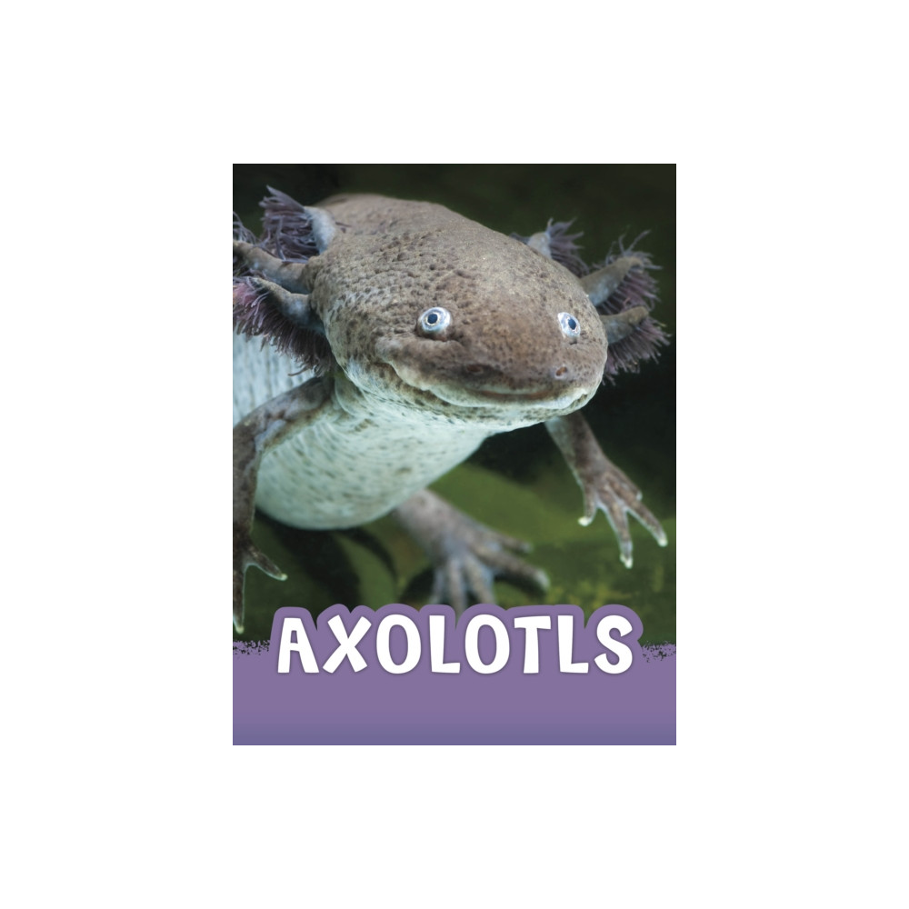 Produktbild för Axolotls (inbunden, eng)