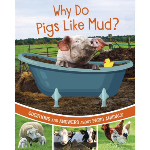 Capstone Global Library Ltd Why Do Pigs Like Mud? (inbunden, eng)