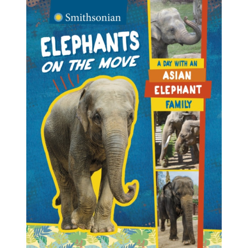 Capstone Global Library Ltd Elephants on the Move (häftad, eng)