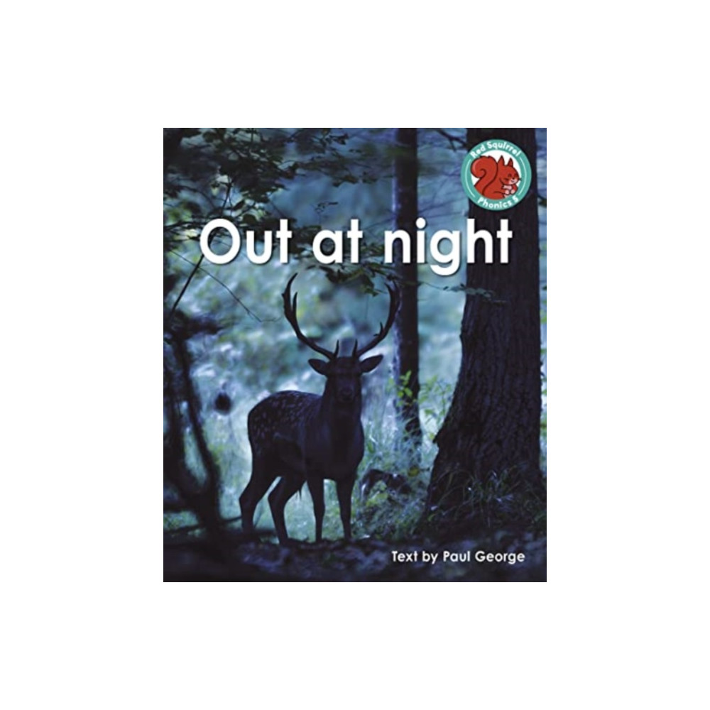 Produktbild för Out at night (häftad, eng)