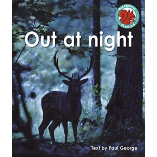 Capstone Global Library Ltd Out at night (häftad, eng)
