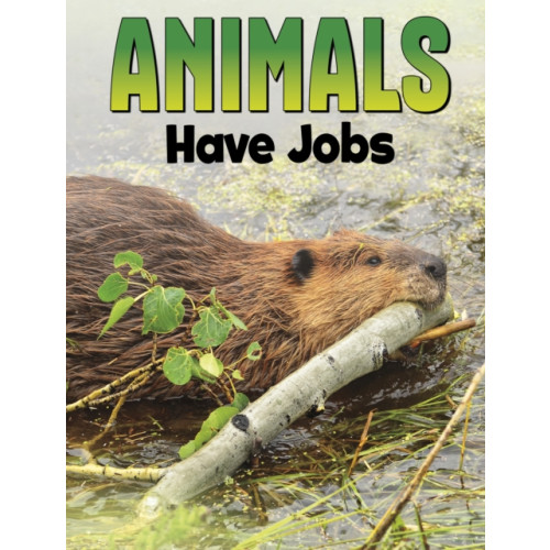 Capstone Global Library Ltd Animals Have Jobs (häftad, eng)