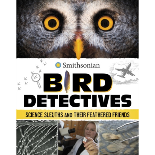 Capstone Global Library Ltd Bird Detectives (häftad, eng)