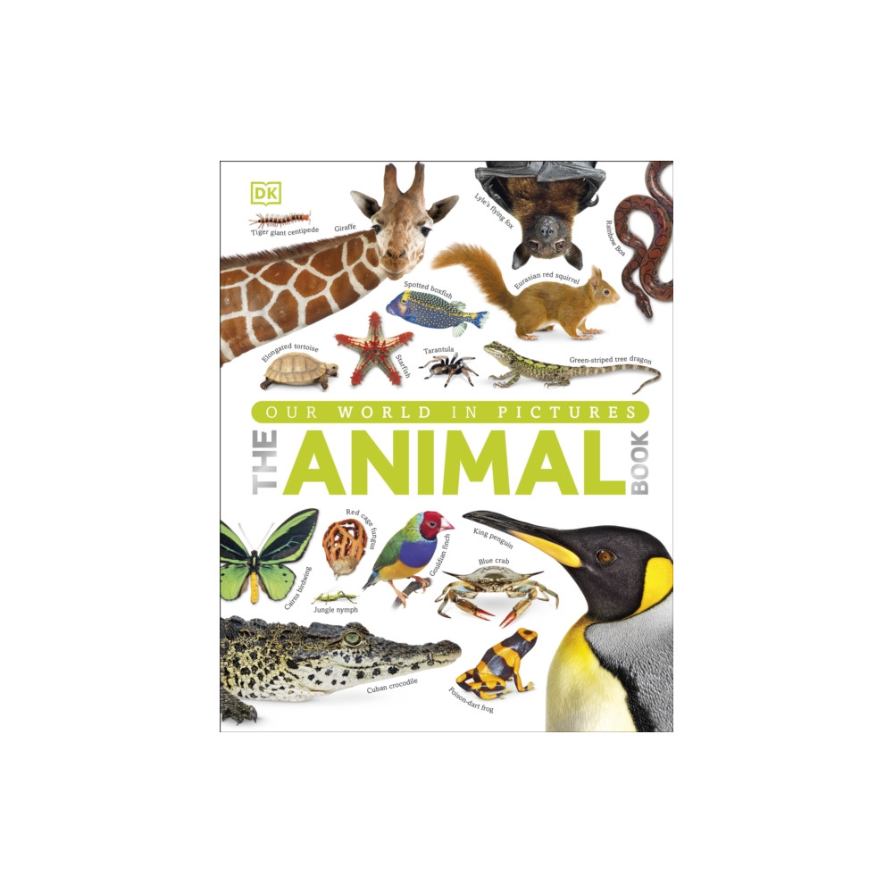 Produktbild för The Animal Book (inbunden, eng)