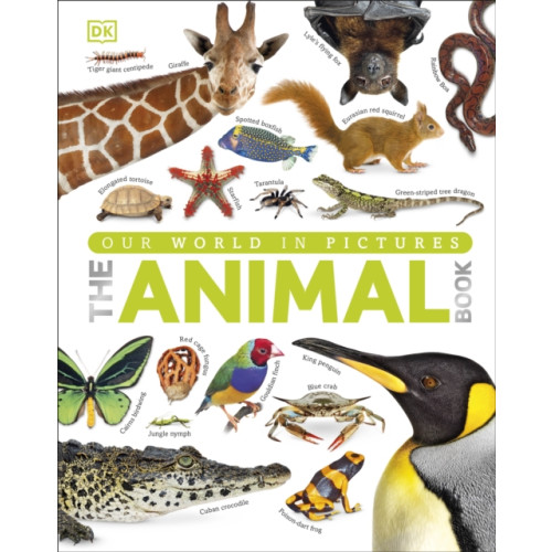 Dorling Kindersley Ltd Our World in Pictures The Animal Book (inbunden, eng)