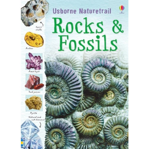 Usborne Publishing Ltd Rocks and Fossils (häftad, eng)