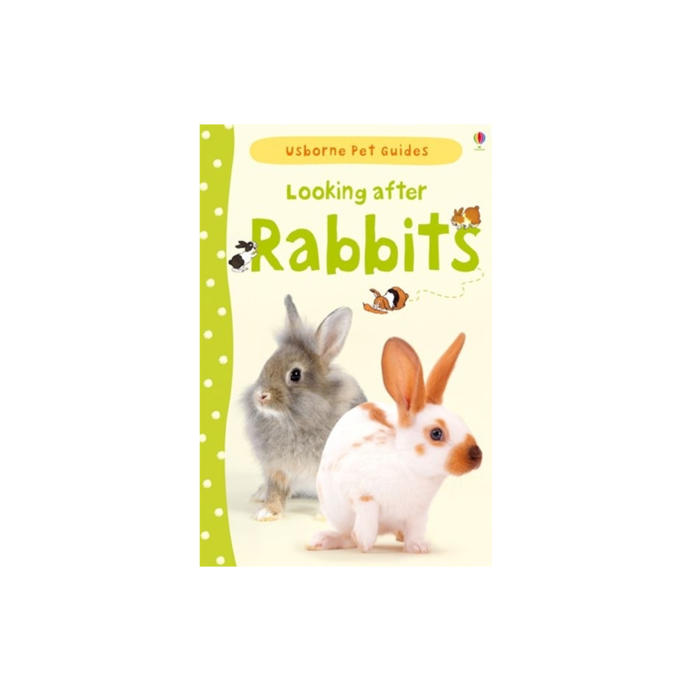Produktbild för Looking after Rabbits (inbunden, eng)