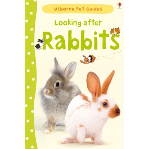 Usborne Publishing Ltd Looking after Rabbits (inbunden, eng)