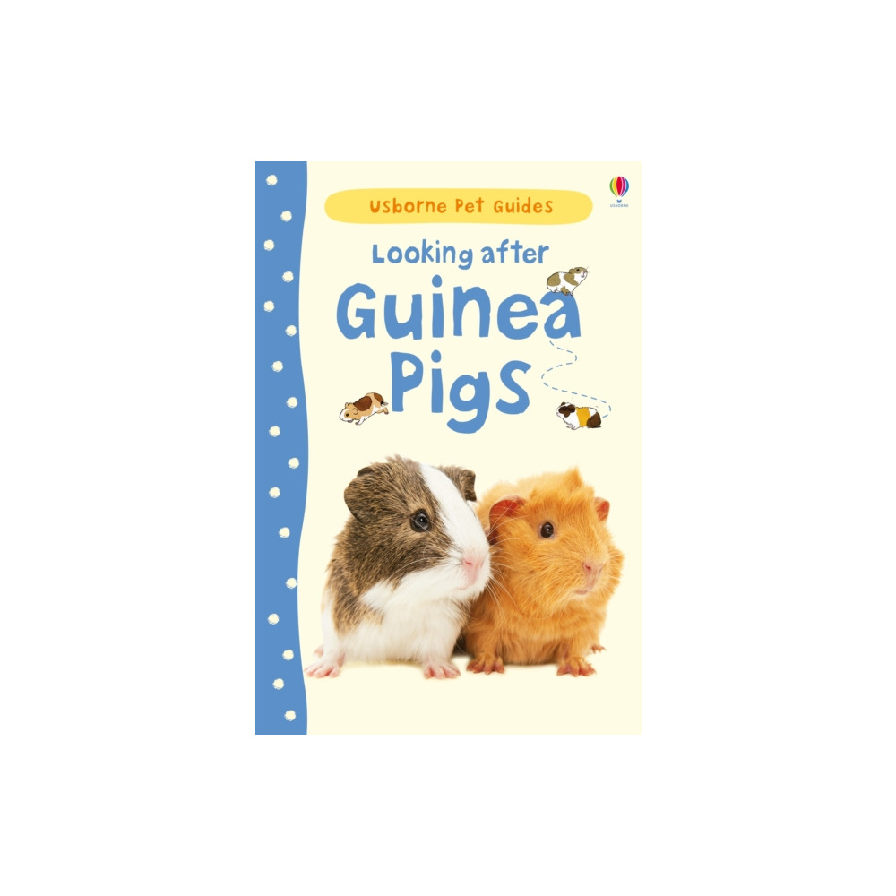 Produktbild för Looking after Guinea Pigs (inbunden, eng)