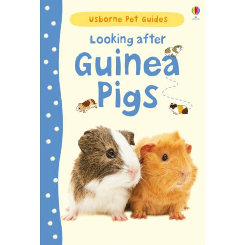 Usborne Publishing Ltd Looking after Guinea Pigs (inbunden, eng)