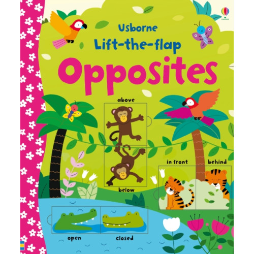 Usborne Publishing Ltd Lift-the-flap Opposites (bok, board book, eng)